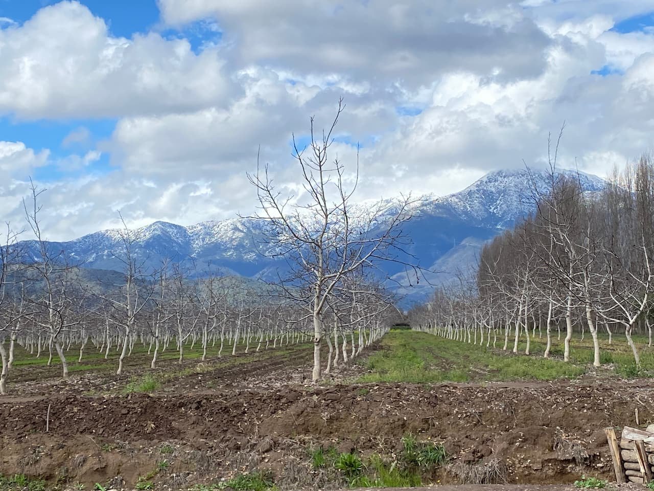 San Isidro de Paine - foto 1