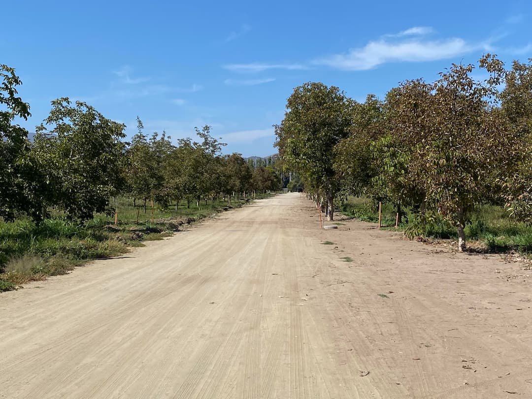San Isidro de Paine - foto 3